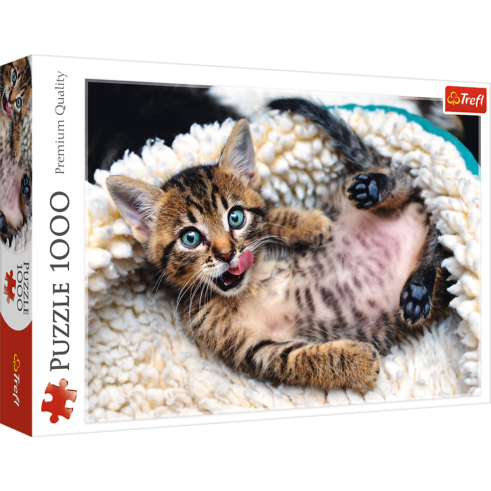 1000 Piece Jigsaw Puzzles, Cheerful Kitten