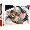 1000 Piece Jigsaw Puzzles, Cheerful Kitten