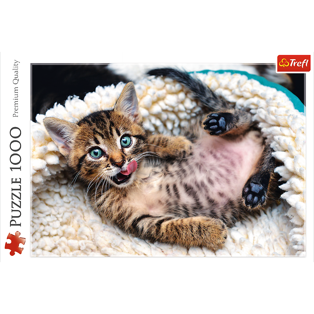 1000 Piece Jigsaw Puzzles, Cheerful Kitten