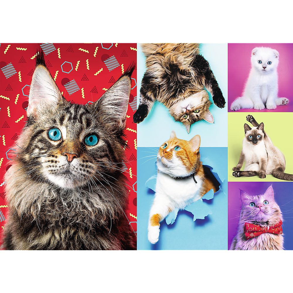 1000 Piece Jigsaw Puzzles, Happy Cats