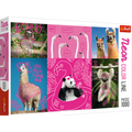 1000 Piece Jigsaw Puzzles, Crazy Animals