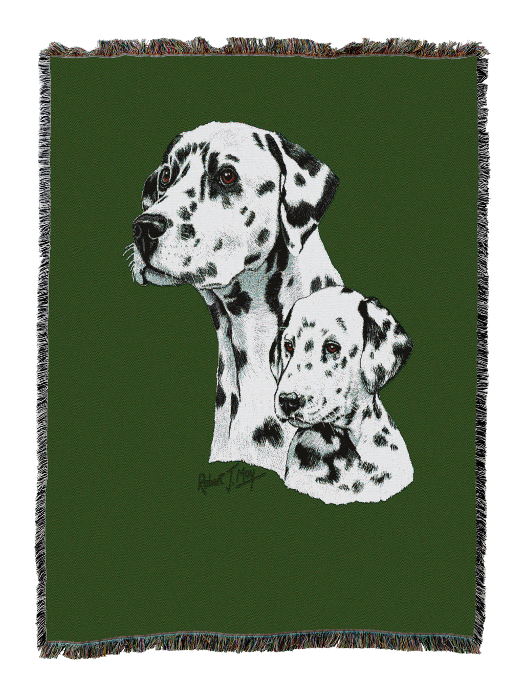 Dalmatian With Puppy Blanket