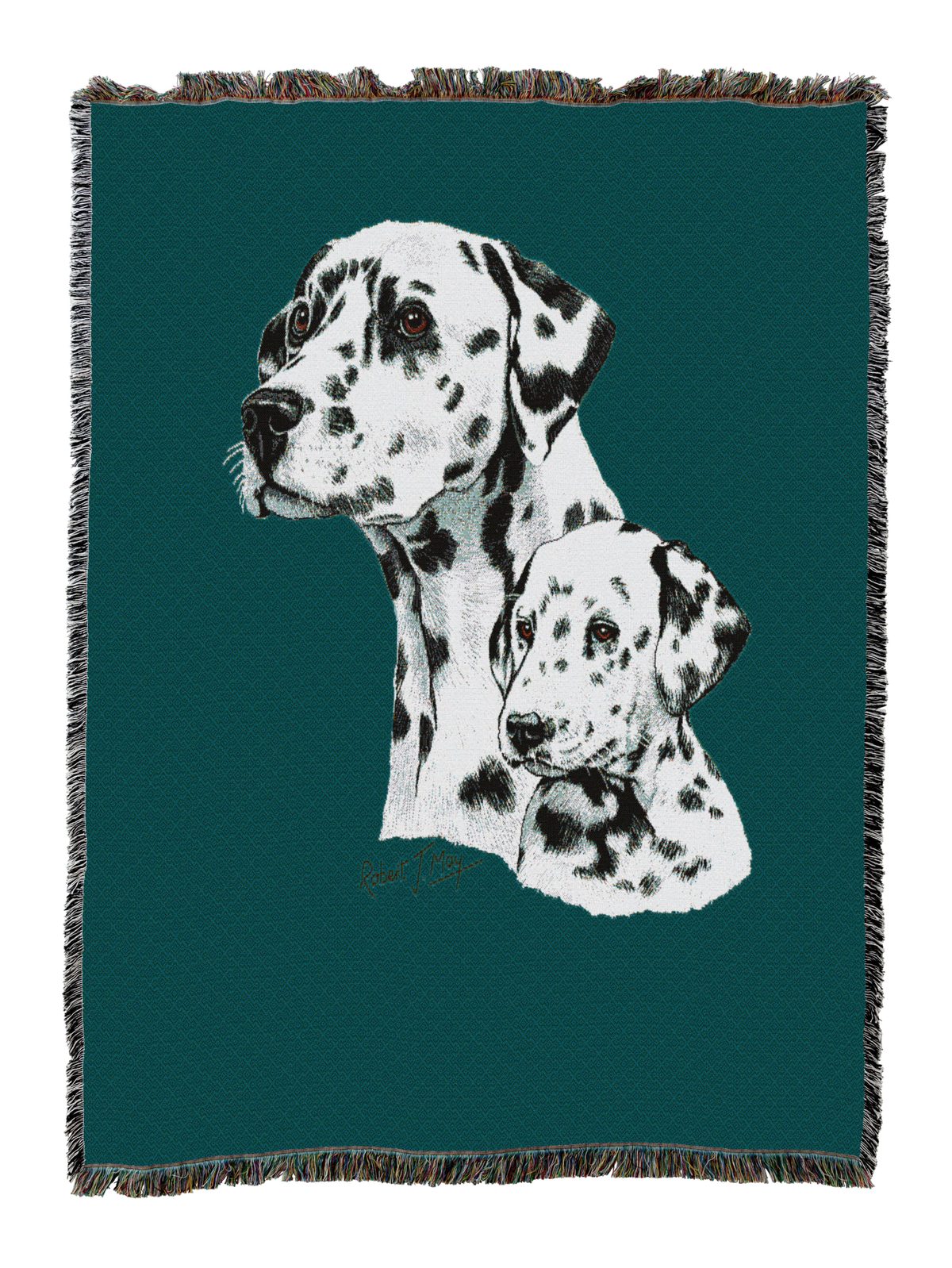 Dalmatian With Puppy Blanket