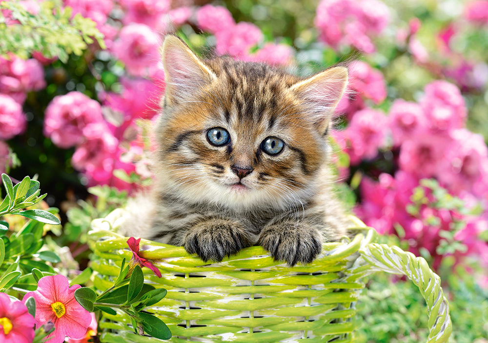 500 Piece Jigsaw Puzzle, Kitten in Flower Garden