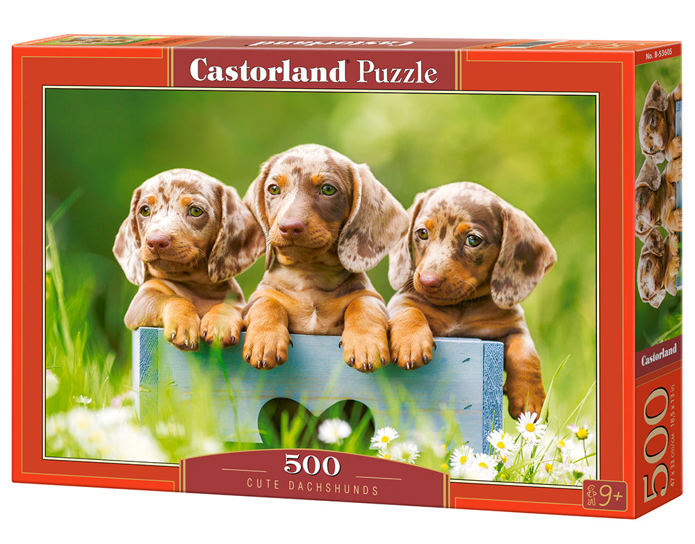 500 Piece Jigsaw Puzzle, Cute Dachshunds