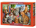 2000 Piece Jigsaw Puzzle, House of Cats